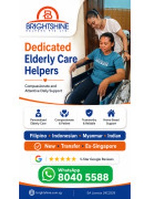 https://brightshine.com.sg/