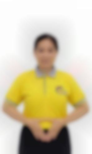 Silva Wonte, Indonesian maid biodata in Singapore