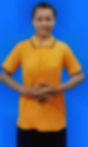 NANT CHO ZAR WIN, Myanmarese maid biodata in Singapore