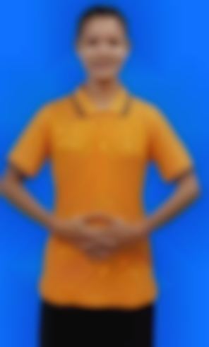 NAW MYO MYAT THU, Myanmarese maid biodata in Singapore