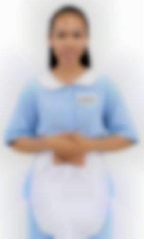 ANIS NOT AFRAID OF DOGS, Indonesian maid biodata in Singapore