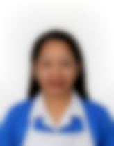K NOFI SRI LESTARI new,  maid biodata in Singapore